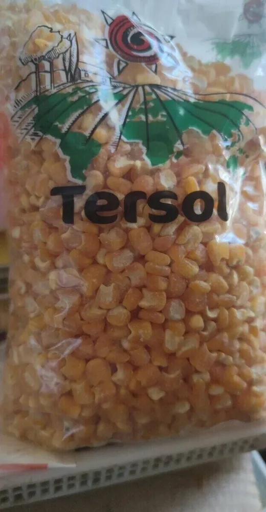 TERSOL