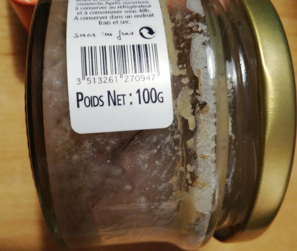 Terrine d'oie au foie de canard
