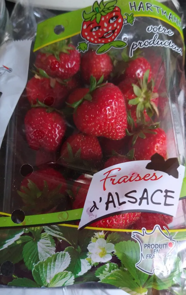 Fraises d'Alsace