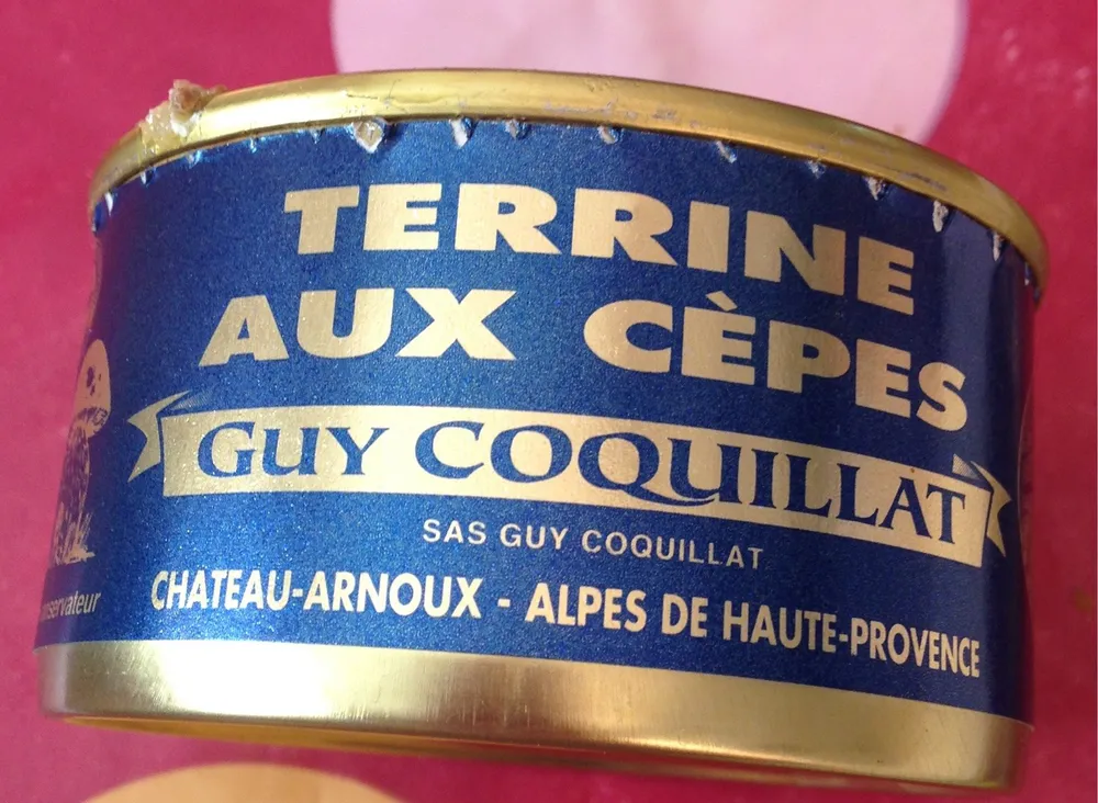 Terrine aux cèpes
