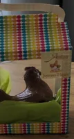 Poule Pâques
