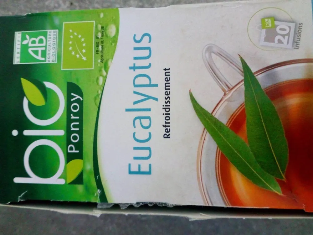 Infusions eucalyptus bio