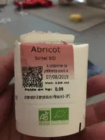 Sorbet Bio Abricot