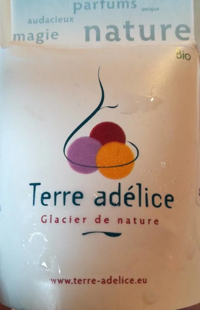 Glace châtaigne aux marrons confits