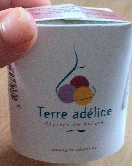 Sorbet fraise des bois