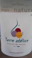 Glace à la mangue bio
