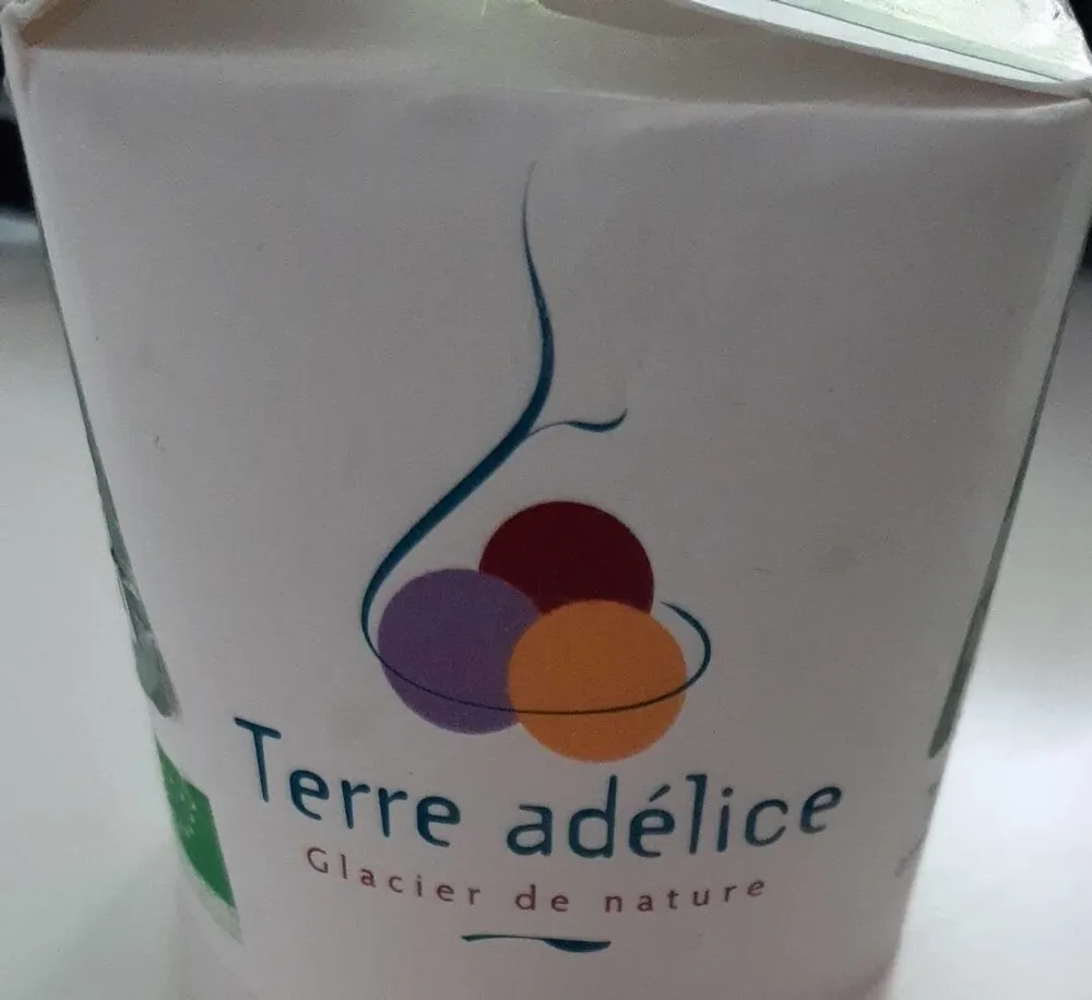 Glace yaourt brebis