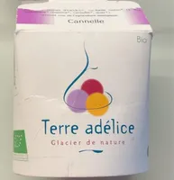 Glace a la cannelle