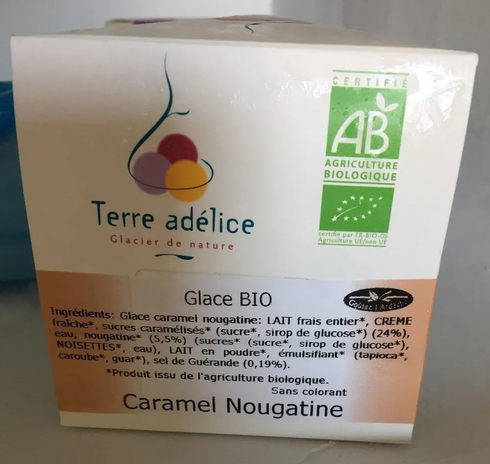 Glace bio caramel nougatine