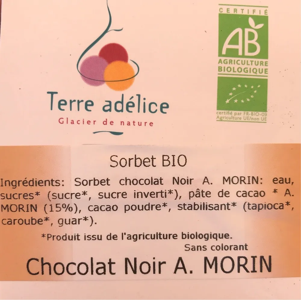 SORBET AU CHOCOLAT NOIR