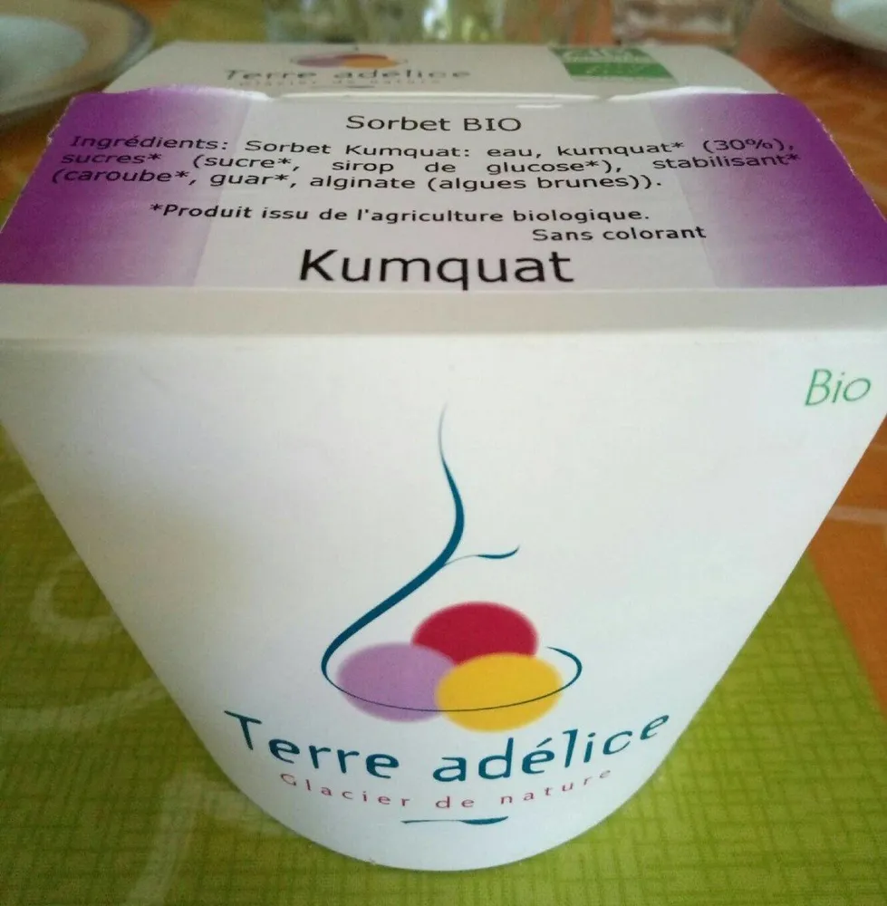 Sorbet bio Kumquat