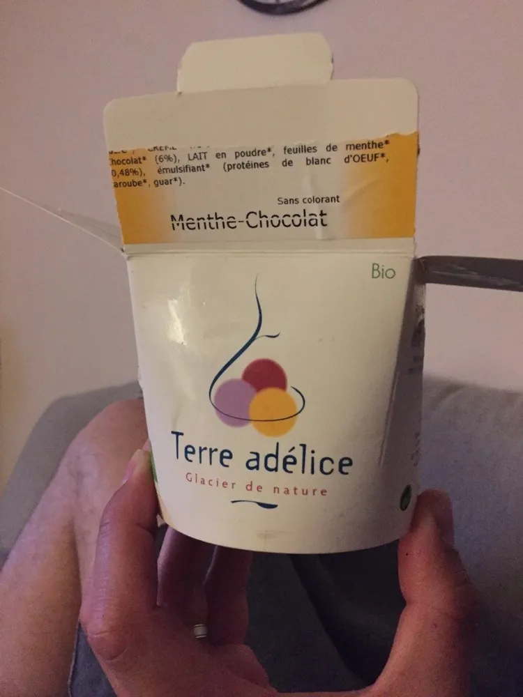 Glace menthe chocolat