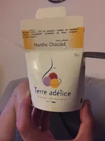 Glace menthe chocolat