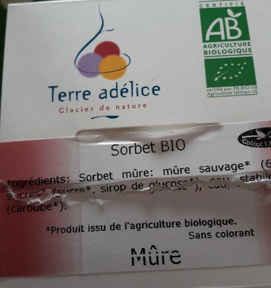 Sorbet mûre