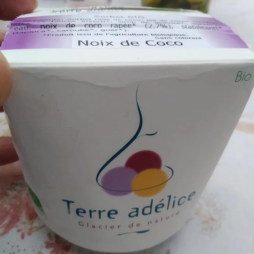 Sorbet bio noix de coco