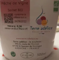 Sorbet Pêche de Vigne