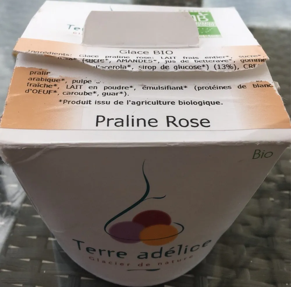 Praline Rose