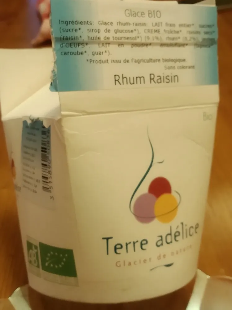 Glace bio rhum raisin