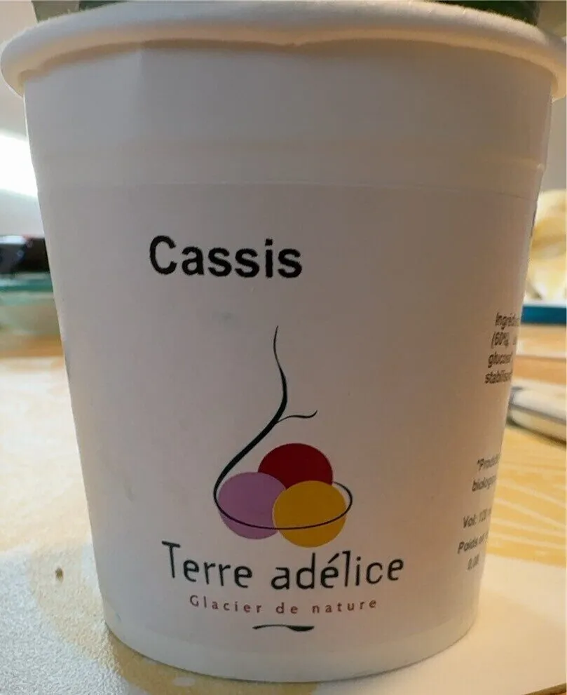 Cassis Sorbet BIO