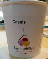 Cassis Sorbet BIO