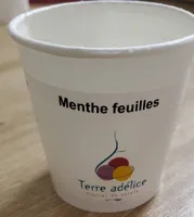 Menthe Feuilles