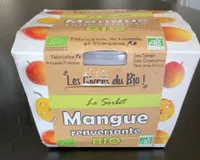 Le Sorbet - Mangue renversante