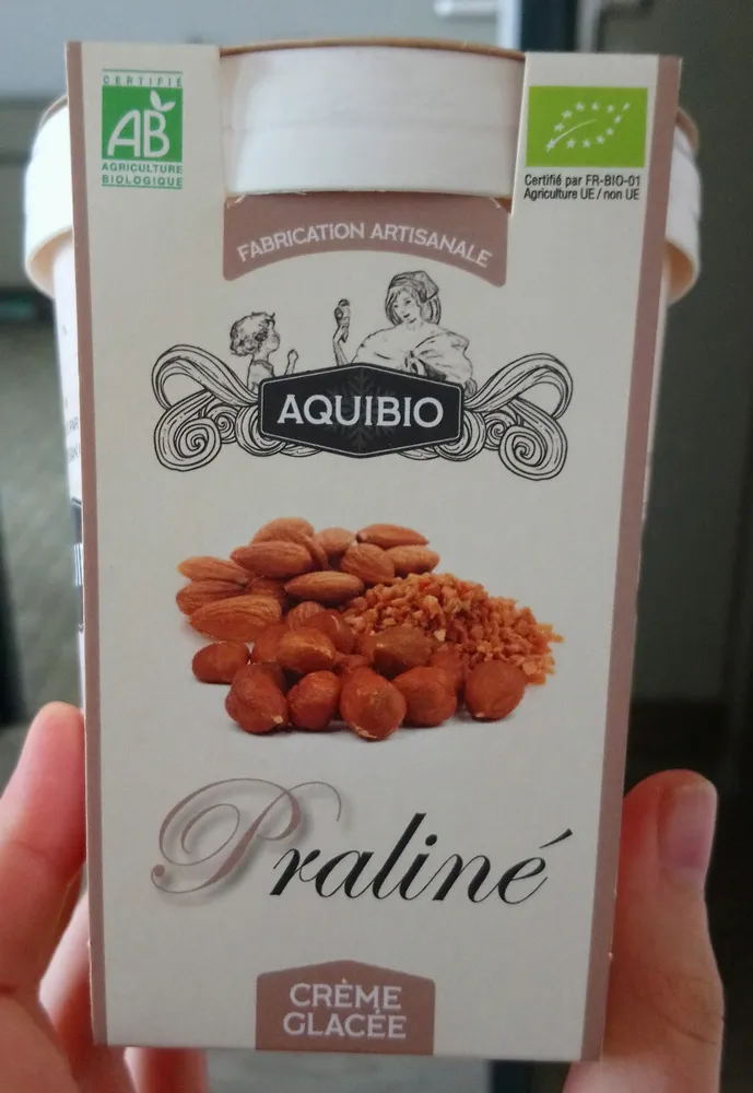 Crème Glacée Praliné