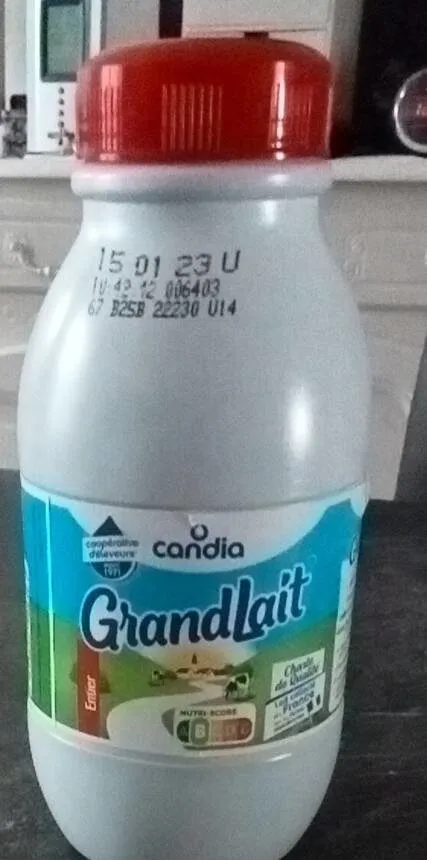 Grand lait