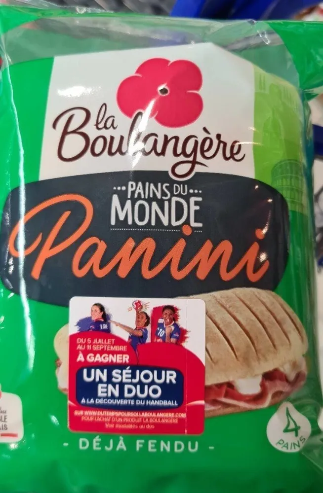 Pain Panini