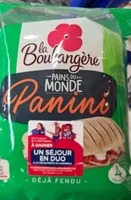 Pain Panini