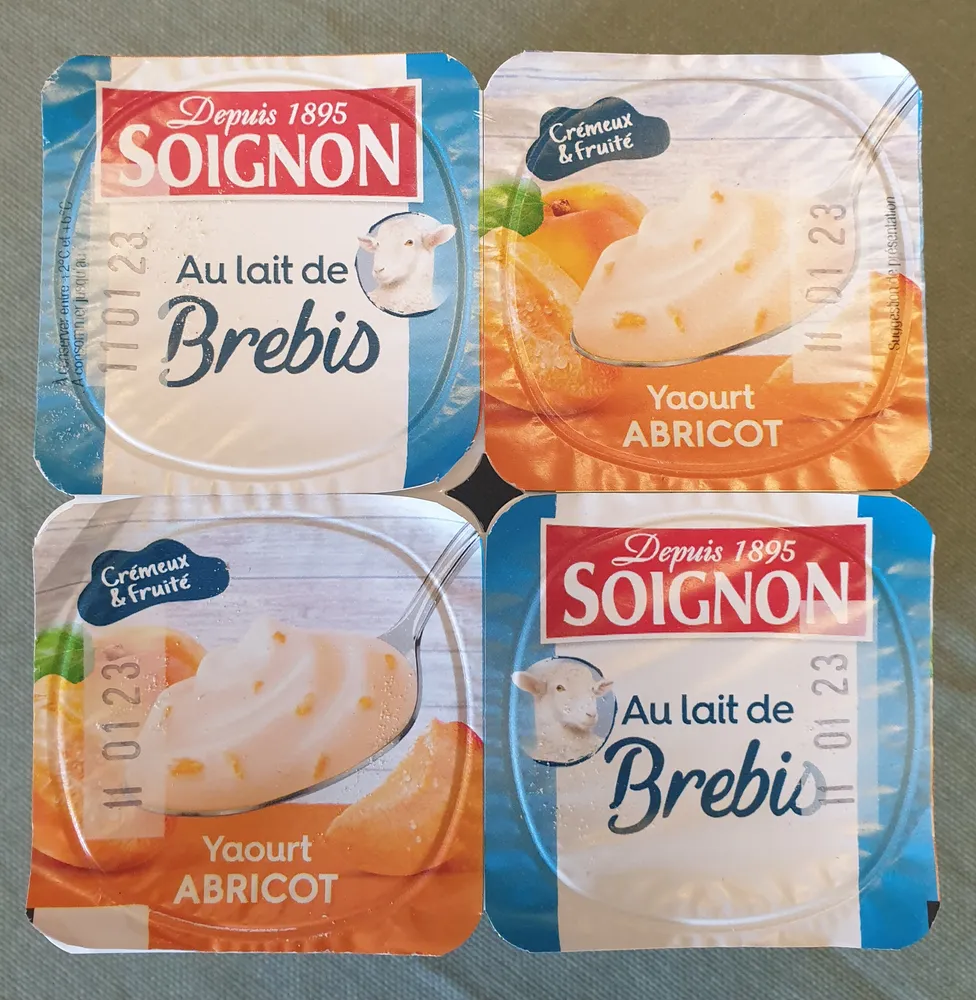Brassé au lait de brebis