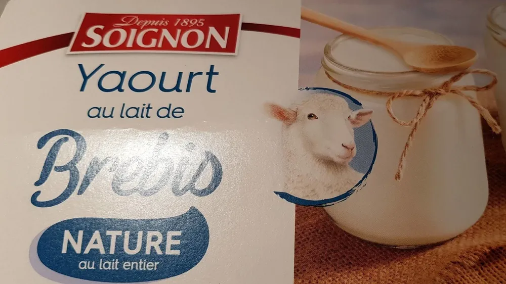 Yaourt au lait de brebis