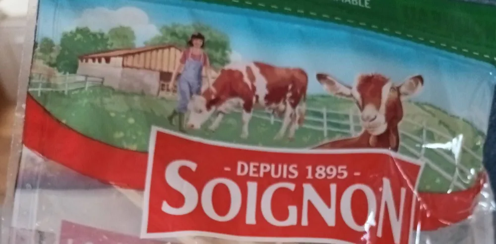 Le duo chèvre et mozzarella