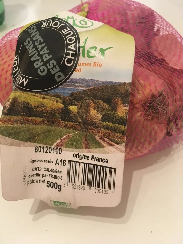 Oignon rosés