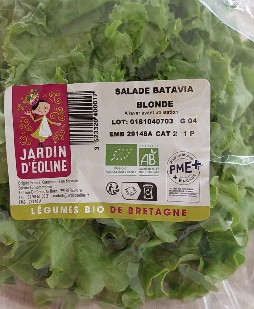Salade de batavia blonde