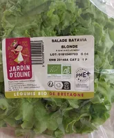 Salade de batavia blonde