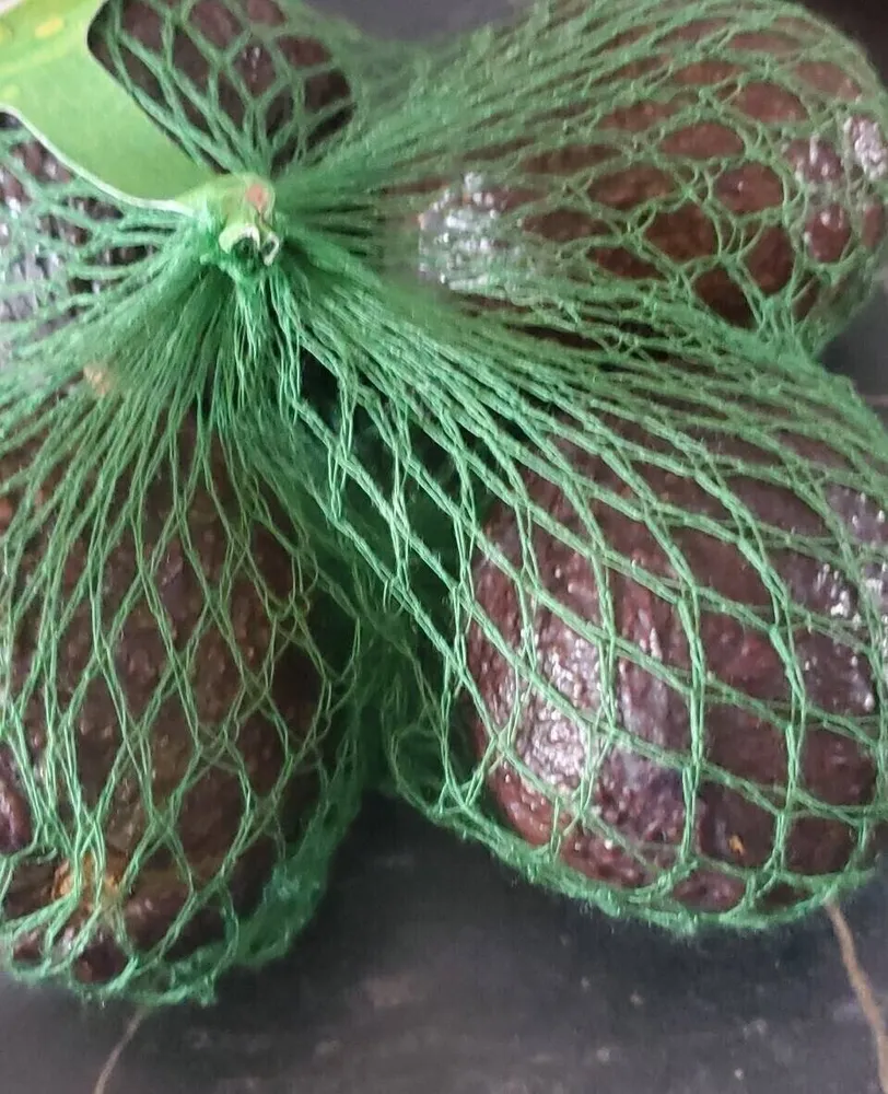 Avocats