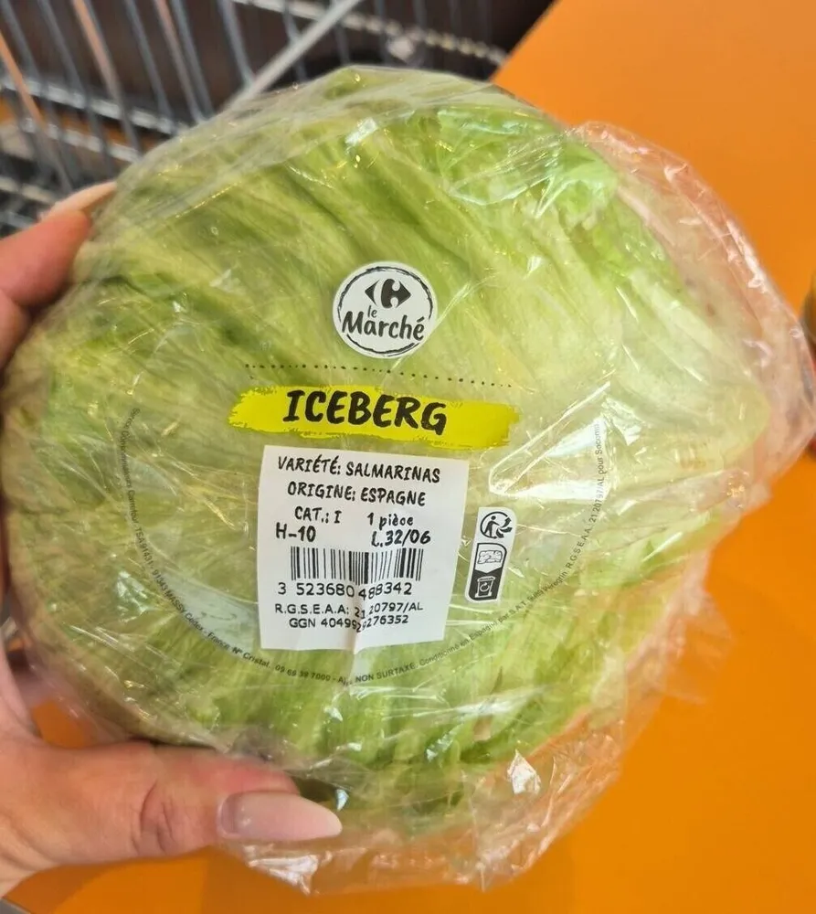 Iceberg