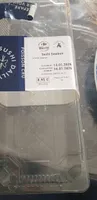 Sushi Saumon