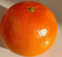 Mandarine