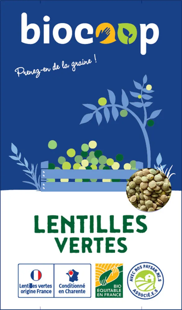 Lentilles vertes France