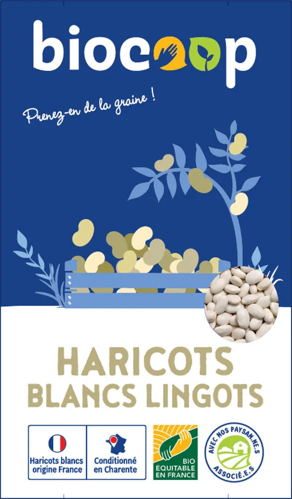 Haricots blancs Lingots France