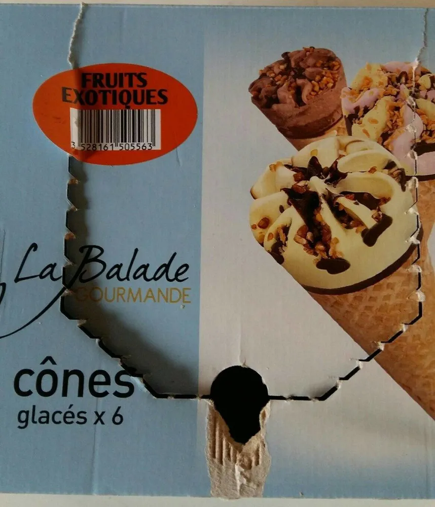 Cônes  fruits exotique