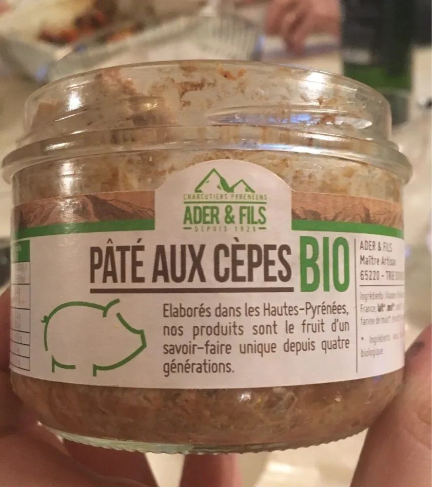 Paté aux cèpes