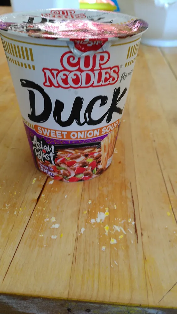 Duck Sweet Onion Soup