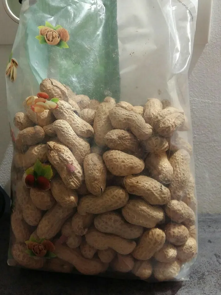 Arachides coques grillées