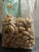Arachides coques grillées