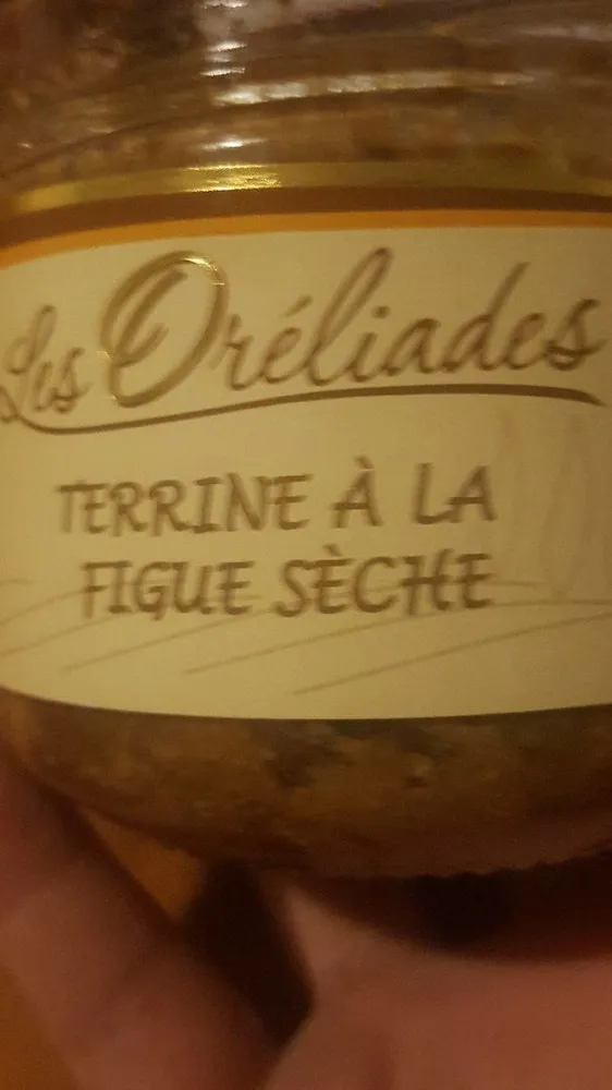 Terrine à la figue sèche
