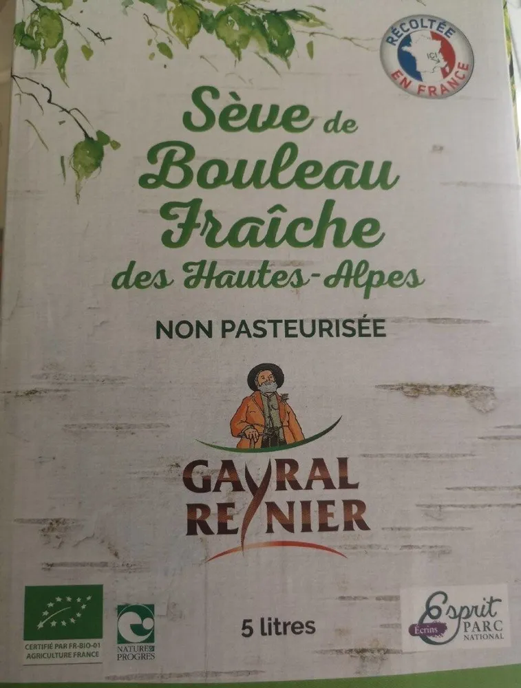 Sève de bouleau fraîche