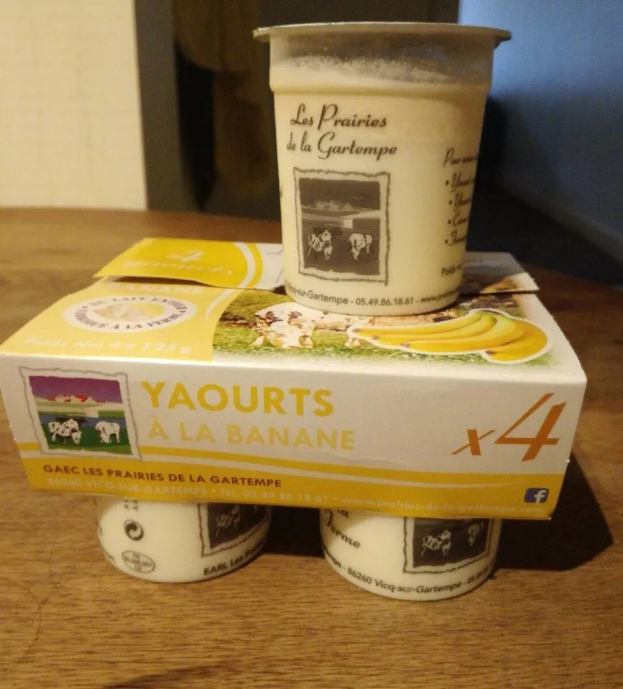 Yaourts à la banane